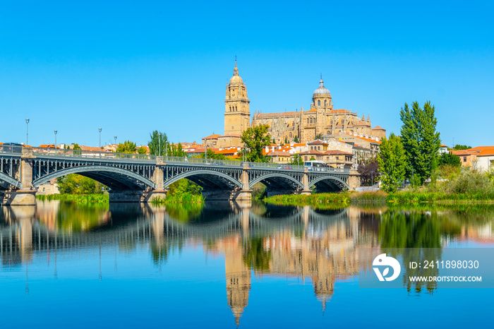 Cathedral at Salamanca reflected viewed behind bridge of enrique esteven on river Tormes, Spain