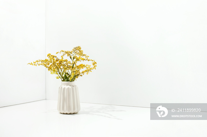 黄色花朵的白色简单花瓶，正视图