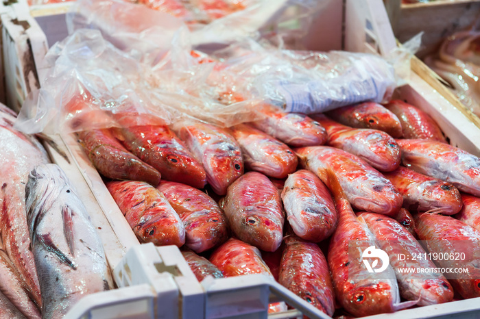 red mullet, fish market, Palermp, Sicily