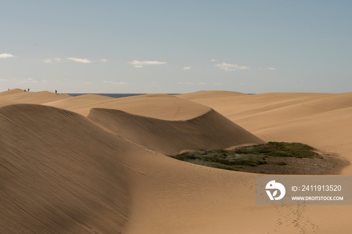 Vista de las dunas de Maspalomas en la isla de Gran Canaria, España