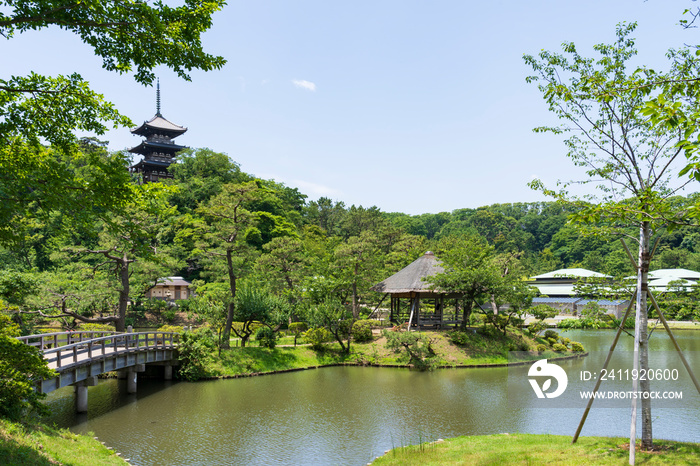 横浜 三渓園