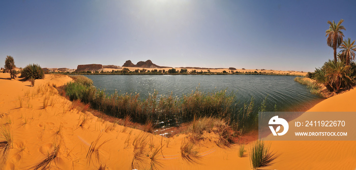 乍得撒哈拉沙漠Ouniaga Serir系列湖泊中的淡水湖Bokou