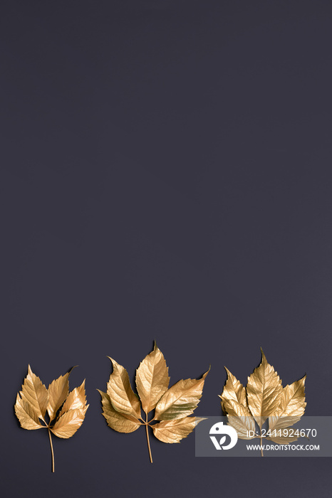 Golden leaves on dark background