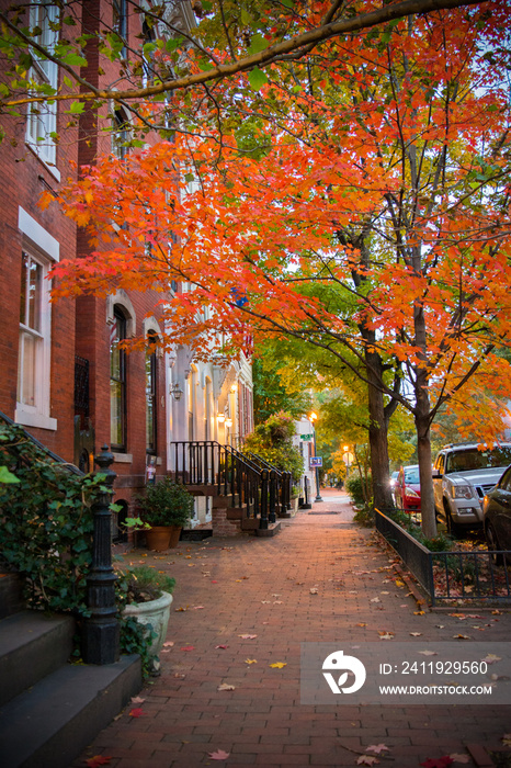 Pictoresque Street with a Red Leaves Tree in Autumn in Georgetown.