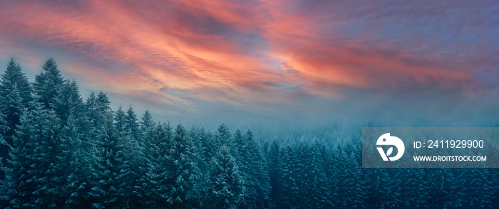 清晨日出时喀尔巴阡山脉的冬季全景图（电影c）
1761173853,夏日红宝石葡萄柚