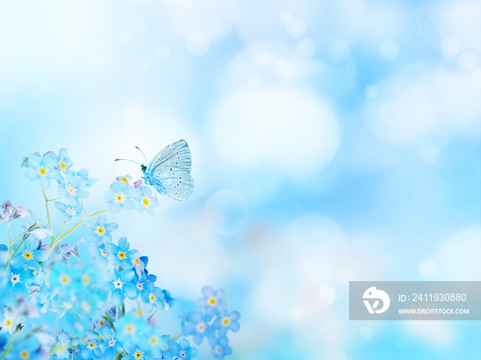 Blue forget-me-not flowers and butterfly blurred background