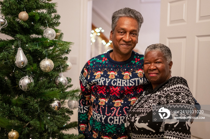 Portrait of senior couple by Christmas tree at home