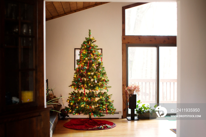 Christmas tree in living room