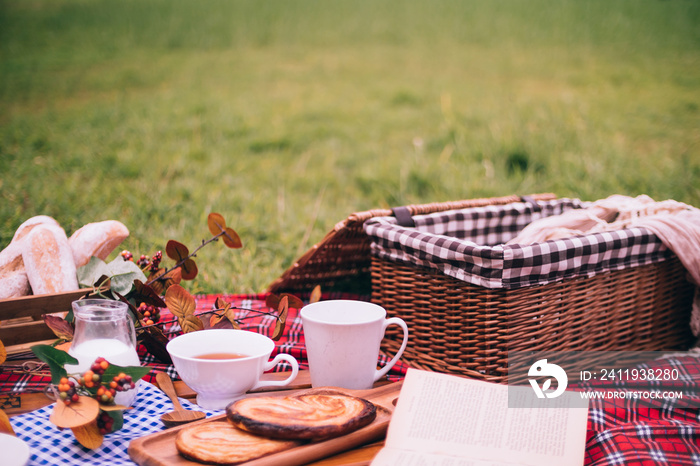 Summer picnic with a basket of food on blanket in the park. Free space for text