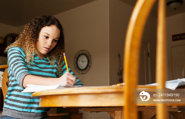 Teenage girl (16-17) studying at table