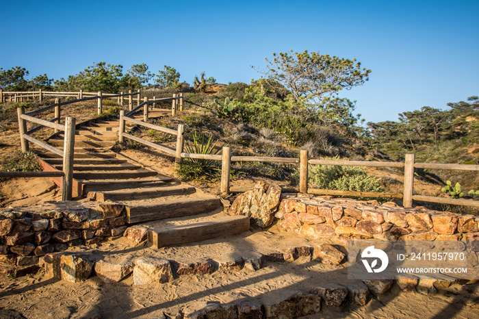 Torrey Pines State Park in Southern California offers beautiful rocky coastal views of the Pacific O