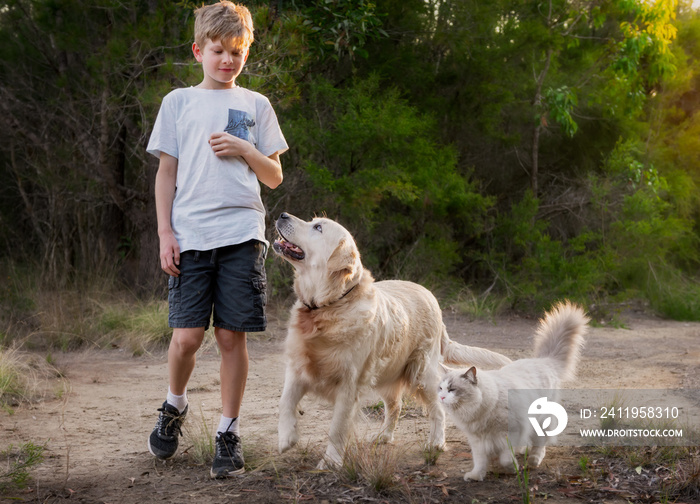 Boy walking with his cat and his dog