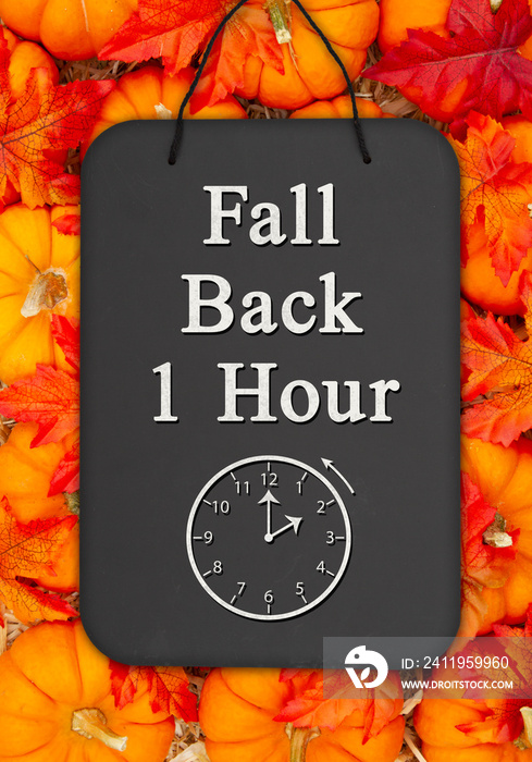 Fall Back 1 hour time change message on a chalkboard sign on pumpkins