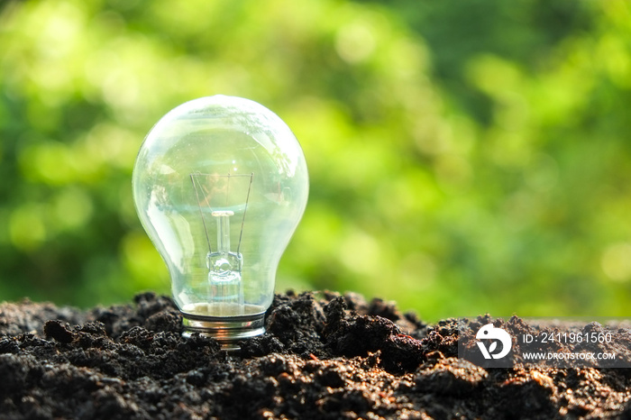 理念和能源概念土壤中的灯泡