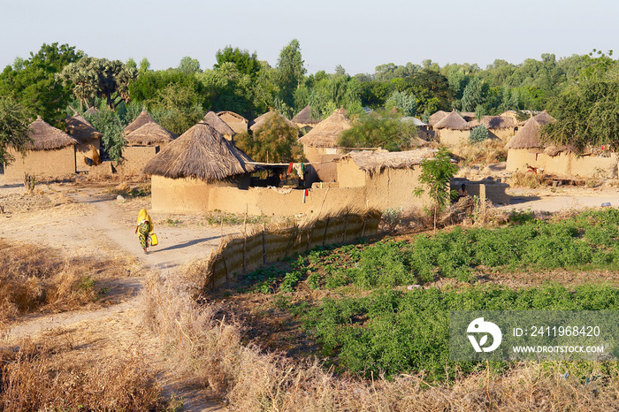 Traditional village in Cameroon