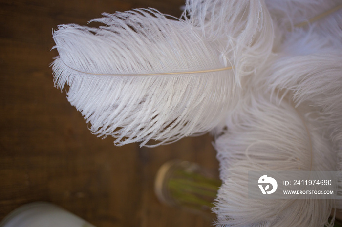 Large white feather on the wedding in the interior for the bride