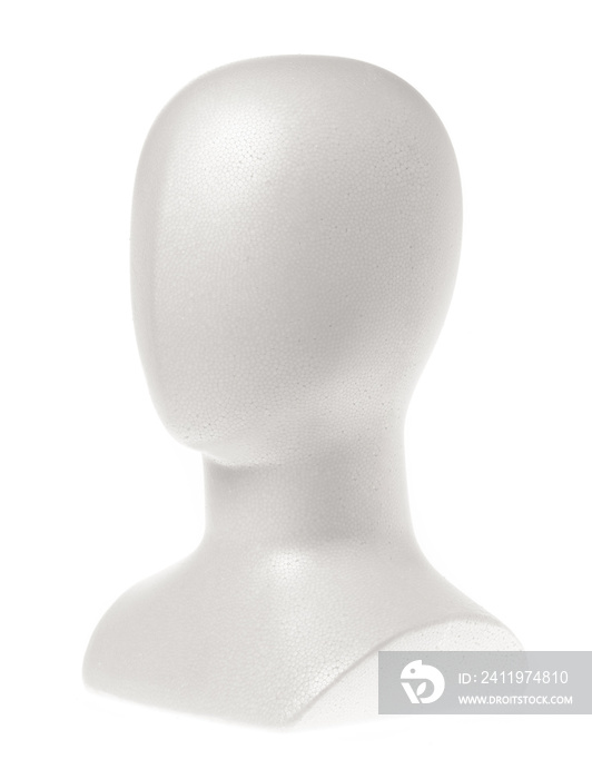 白色背景上隔离的人体模型头部