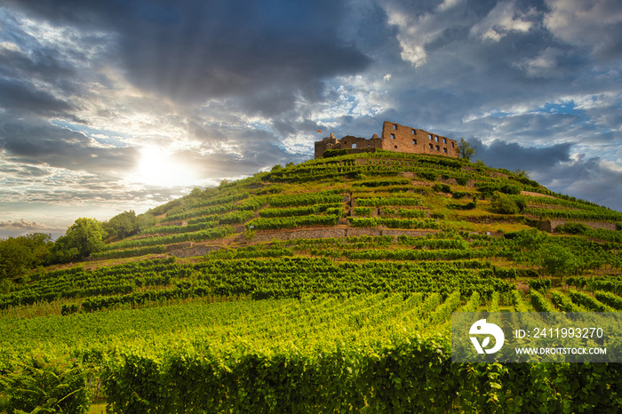 Fantastic view of the old castle ruins in Staufen im Breisgau in front of a dramatic sky