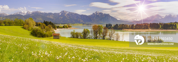 Panorama Landschaft in Bayern mit Alpen im Allgäu am  Forggensee