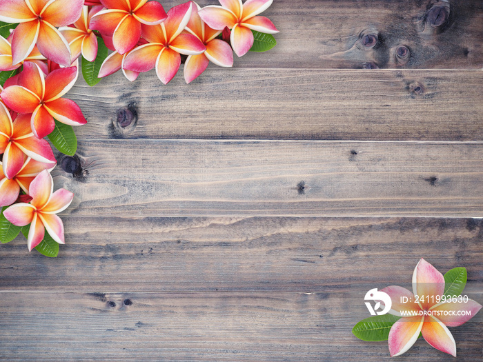 plumeria flower on brown wood background