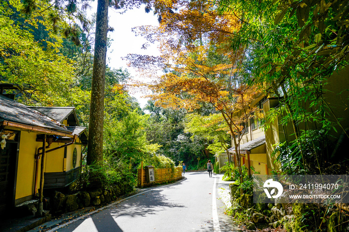 京都　貴船神社　参道