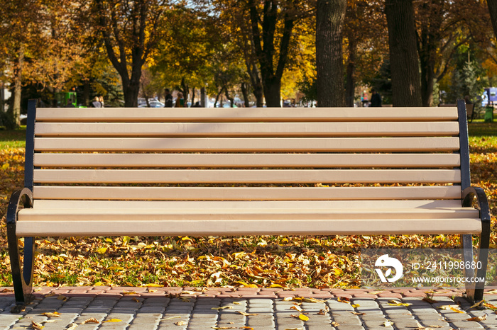 阳光明媚的秋天，公园里的空长椅。黄色秋叶户外的单棱长椅