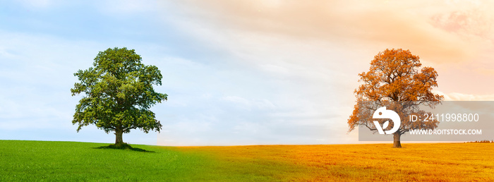 Jahreszeitenwechsel von Sommer zu Herbst