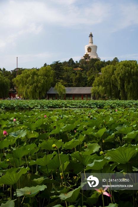 北海公园