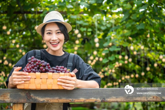 年轻女子在果园采摘葡萄