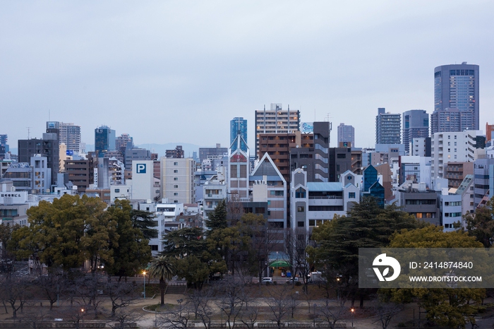 日本大阪城