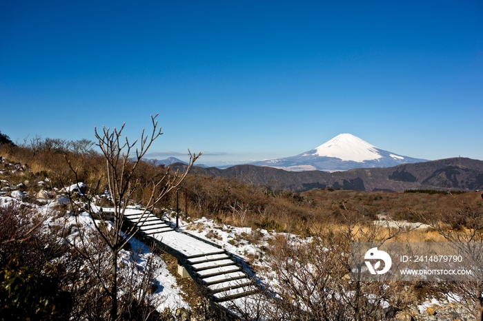 富士山