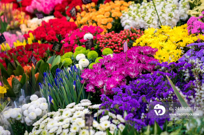 a lot of Flowers in flower shop at Kuromon Ichiba Market (fish market), Osaka, Japan.