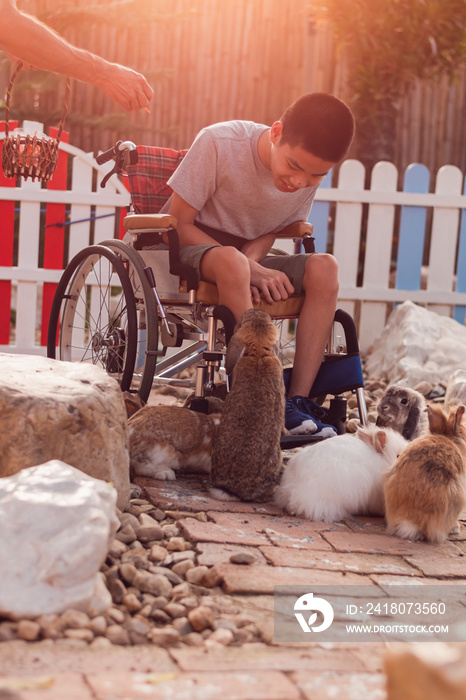 Disabled child sitting on wheel​chair​ feeding rabbits in zoo,Boy smile with happy face look at the 