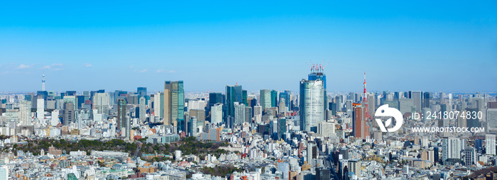 青空の東京都心（東京タワー・東京スカイツリー）