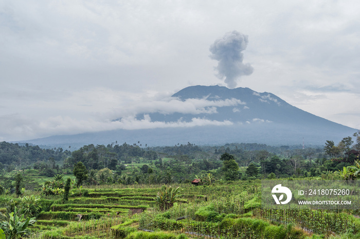 印度尼西亚巴厘岛稻田附近的阿贡火山爆发景观