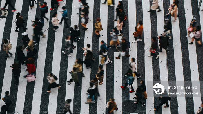 The Shibuya Crossing