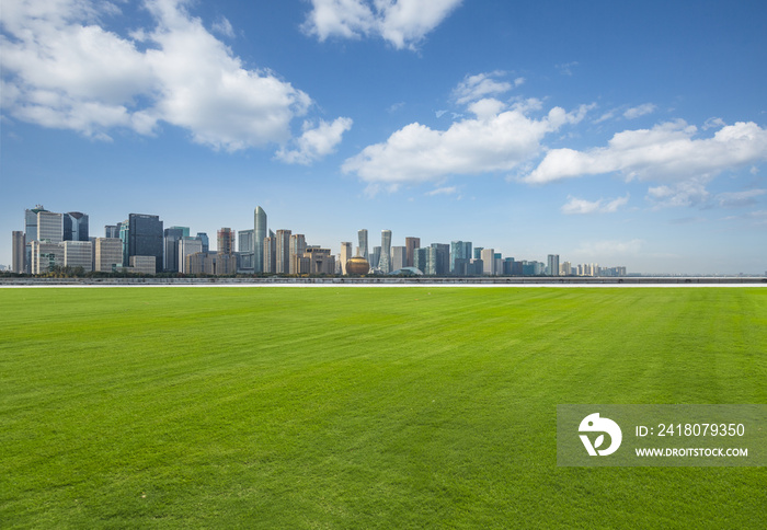 从公园里的草地看天津的城市景观和天际线