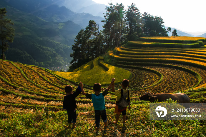 Three boy standing in rice terraces at Mu cang chai,Yenbai,Vietnam.boys on the mountain.