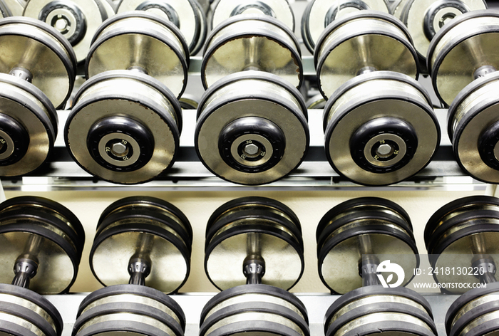 Two Rows of Dumbbells