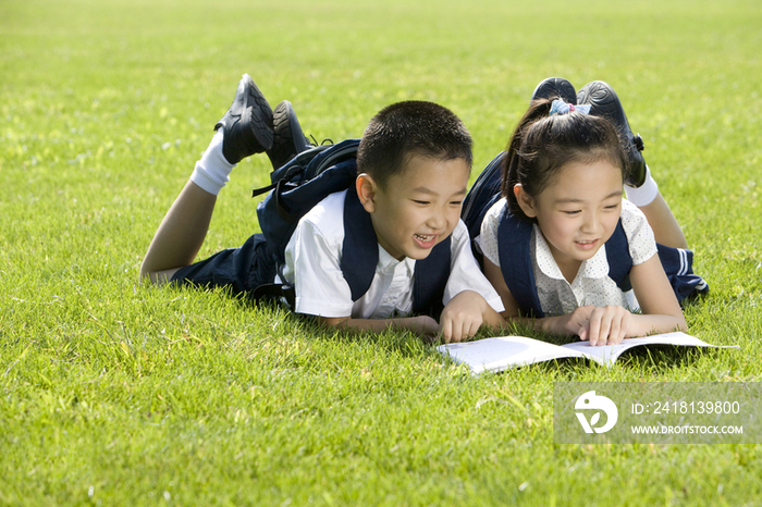 两个在草地上看书的小学生