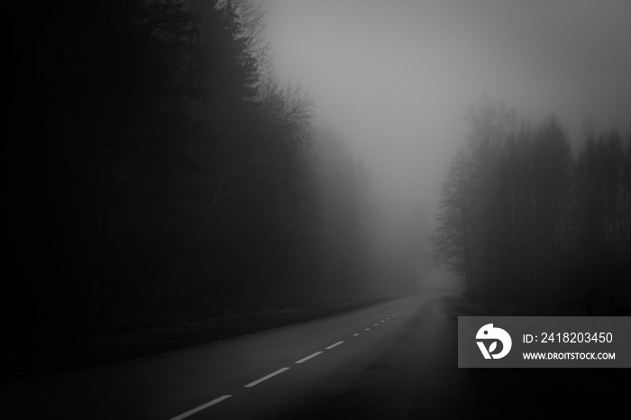 asphalt road with white dividing line in massive fog runs througd dark gloomy forest