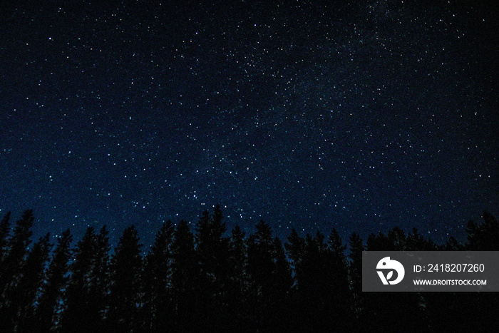 Night Sky from Hungry Horse Reservoir in Flathead National Forest in Montana