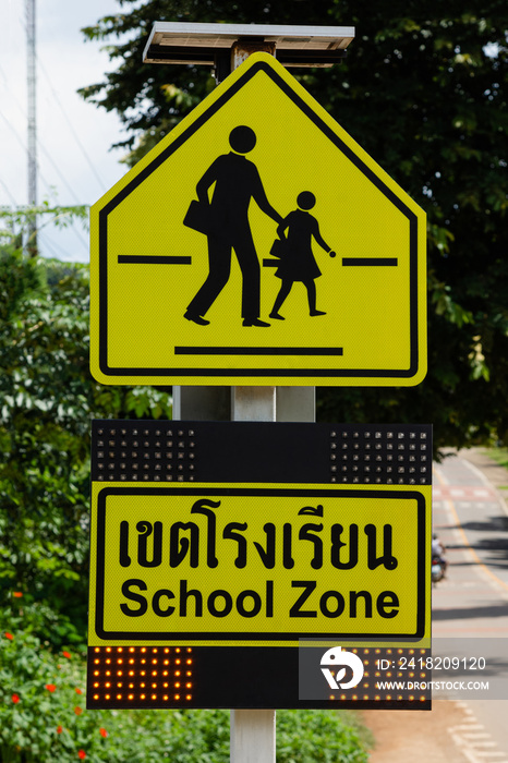 School zone sign on tree and road background.