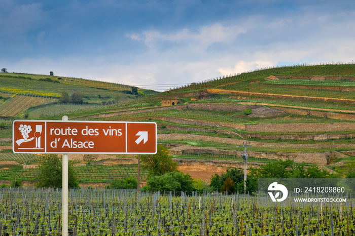 Schild Weinstraße Elsass, Frankreich Weinberge