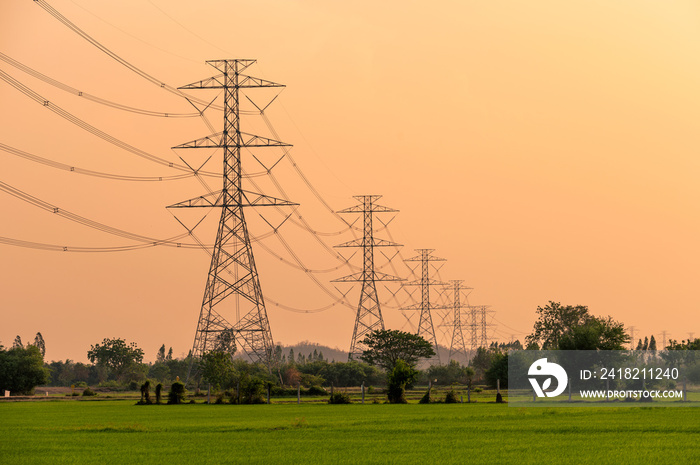 Arrangement of High voltage pole, Transmission tower on rice field at sunset