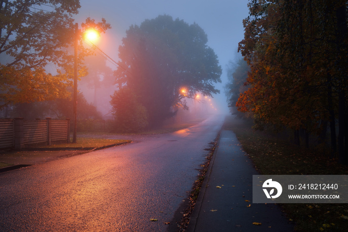 在一个下雨的秋天，一条空旷的、照亮的乡村柏油路在雾中穿过树木和村庄
