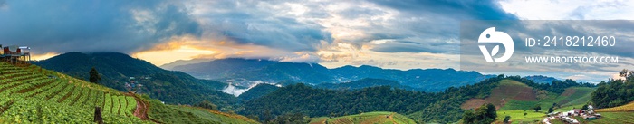 全景，雨季山脉上空的晨雾
1291953772,新年和圣诞节矢量涂鸦隔离元素集。