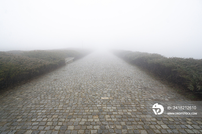 Paving stone road with fog ahead, vertical