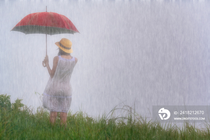 撑着红伞的女人站在草地的雨中，在雨中独自前行