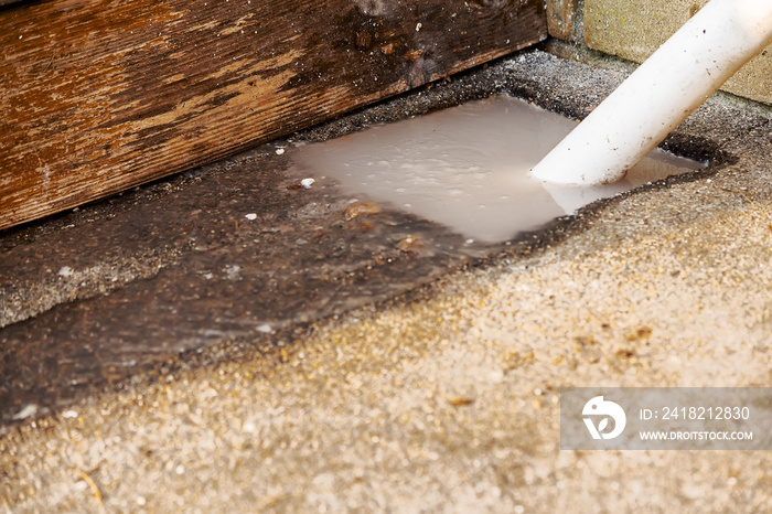 Dirty white water flows on a cement surface of a back yard of a house due to pipe blockage. Ecology 